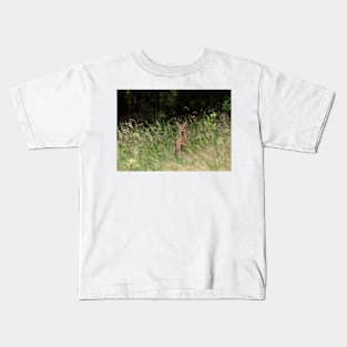 Baby deer in the woods Kids T-Shirt